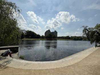 Böcklerpark (Berlin)